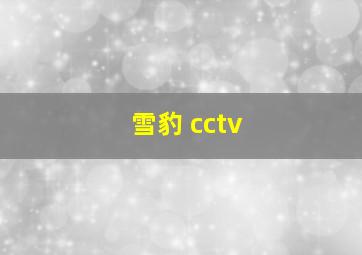 雪豹 cctv